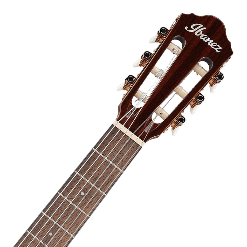 Ibanez AEG50N NT Acoustic Guitar Acoustic Guitars Sky Music