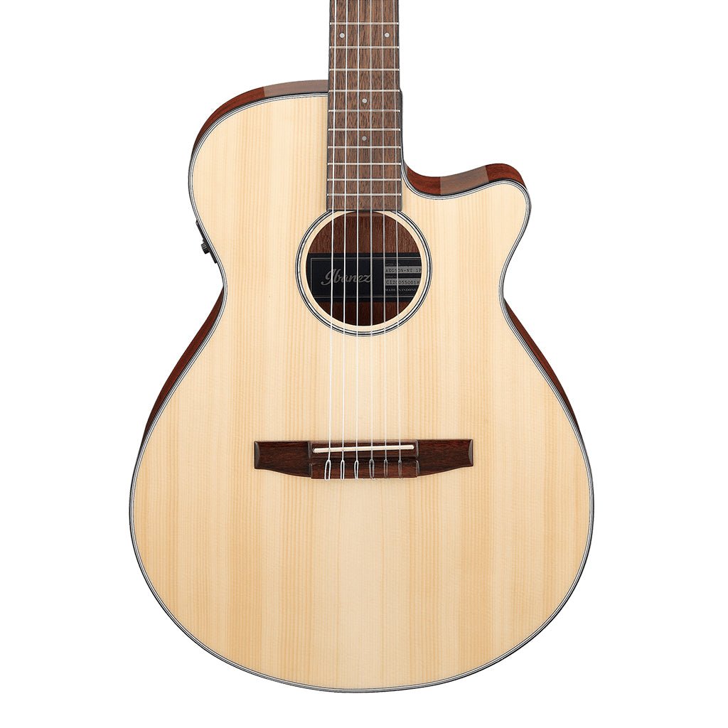 Ibanez AEG50N NT Acoustic Guitar Acoustic Guitars Sky Music