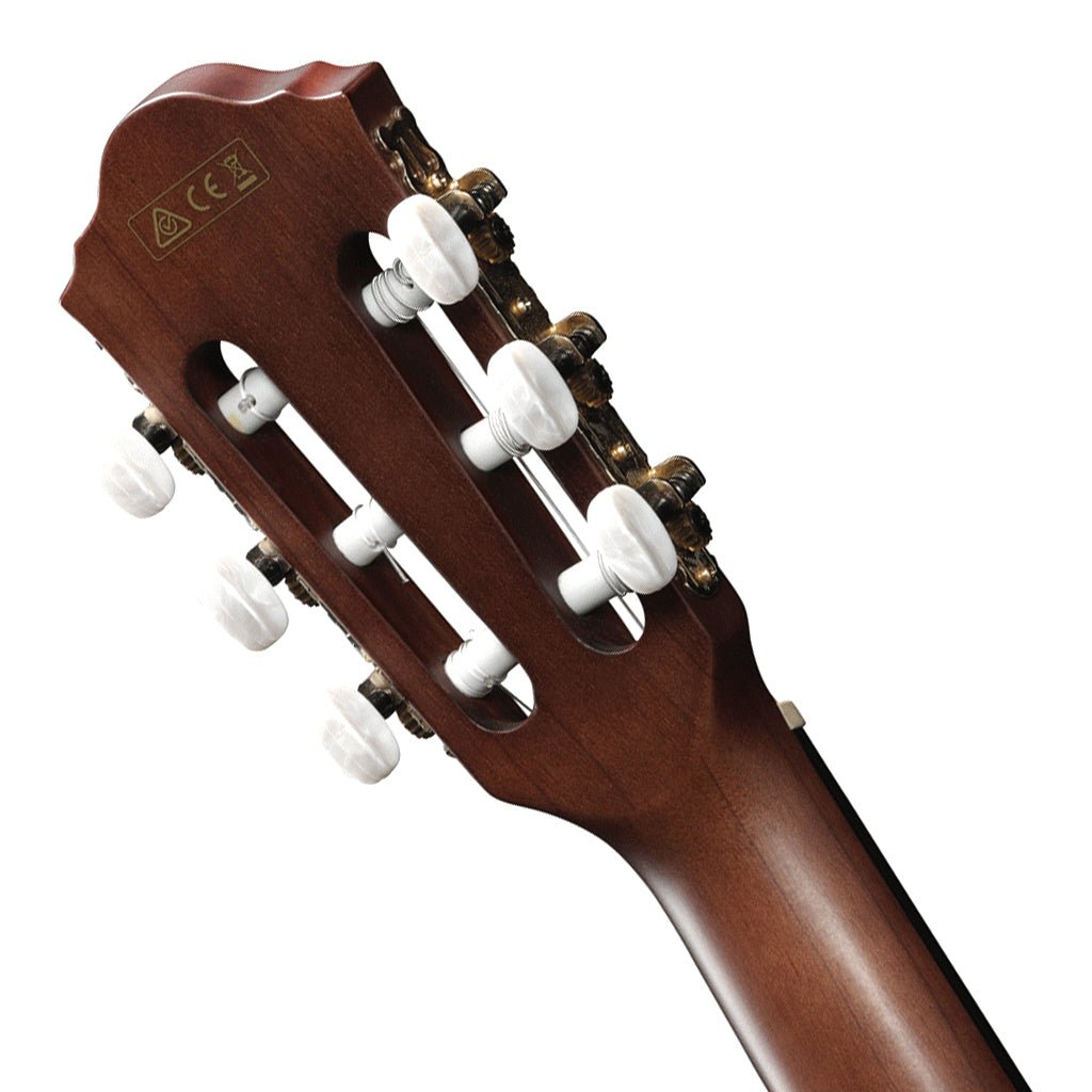 Ibanez AEG50N NT Acoustic Guitar Acoustic Guitars Sky Music