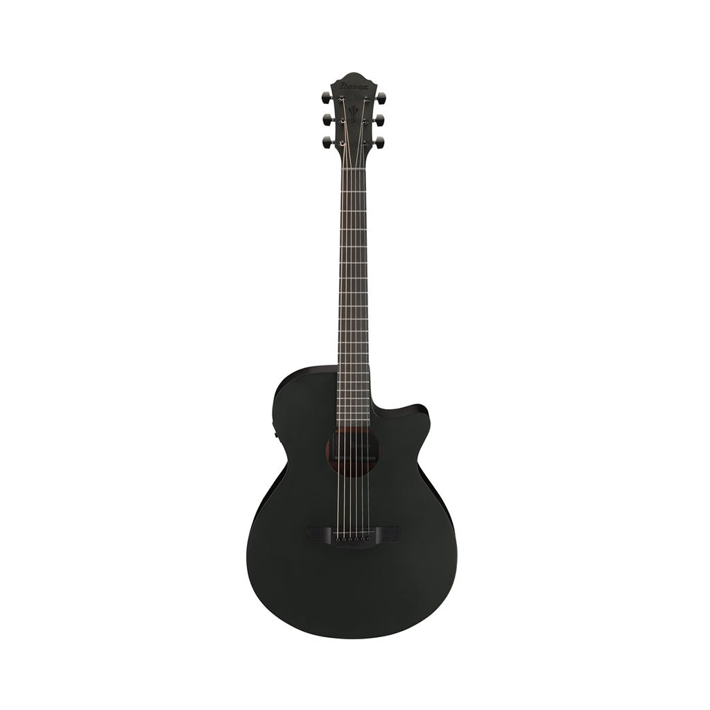 Ibanez AEG621 Acoustic Guitar w/Pickup - Black Out Acoustic Guitars Sky Music