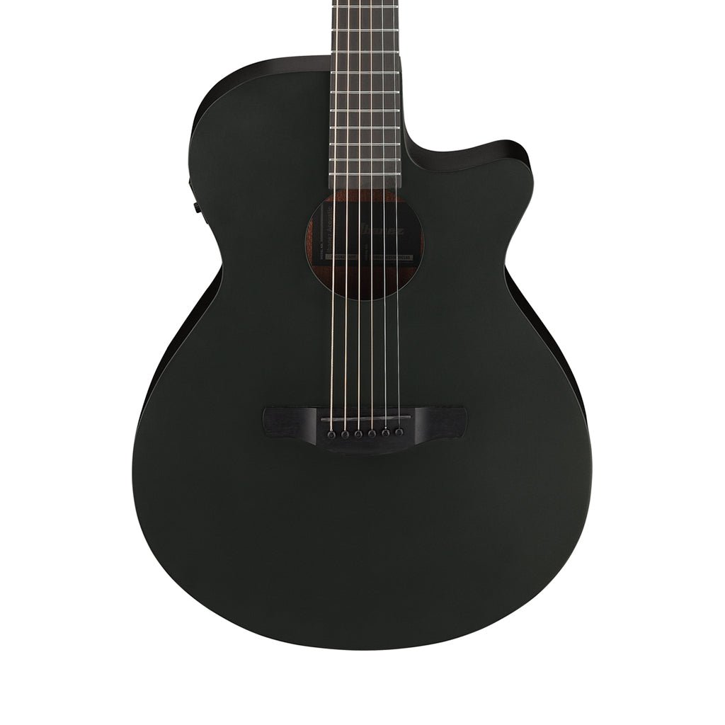 Ibanez AEG621 Acoustic Guitar w/Pickup - Black Out Acoustic Guitars Sky Music
