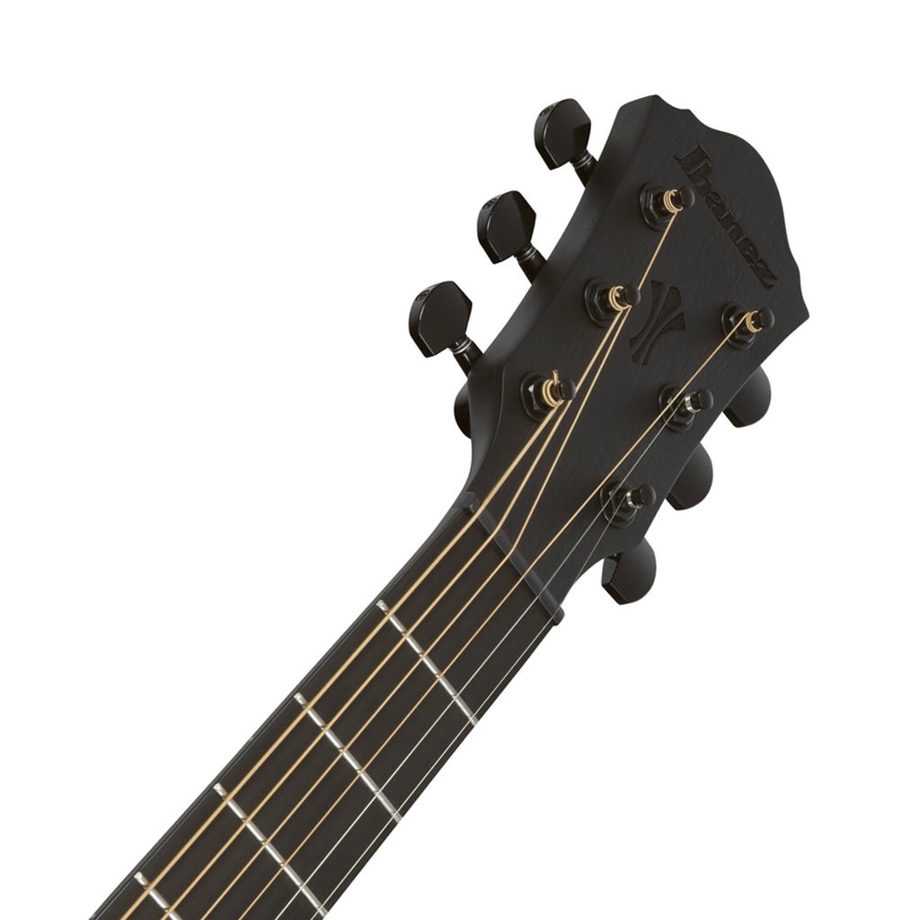 Ibanez AEG621 Acoustic Guitar w/Pickup - Black Out Acoustic Guitars Sky Music