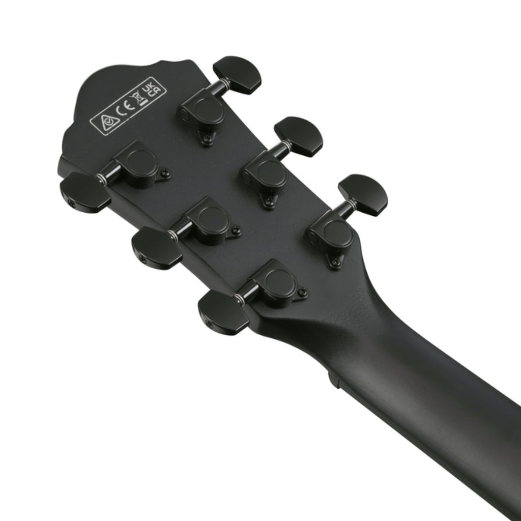 Ibanez AEWC621 Acoustic Guitar - Black Out Acoustic Guitars Sky Music