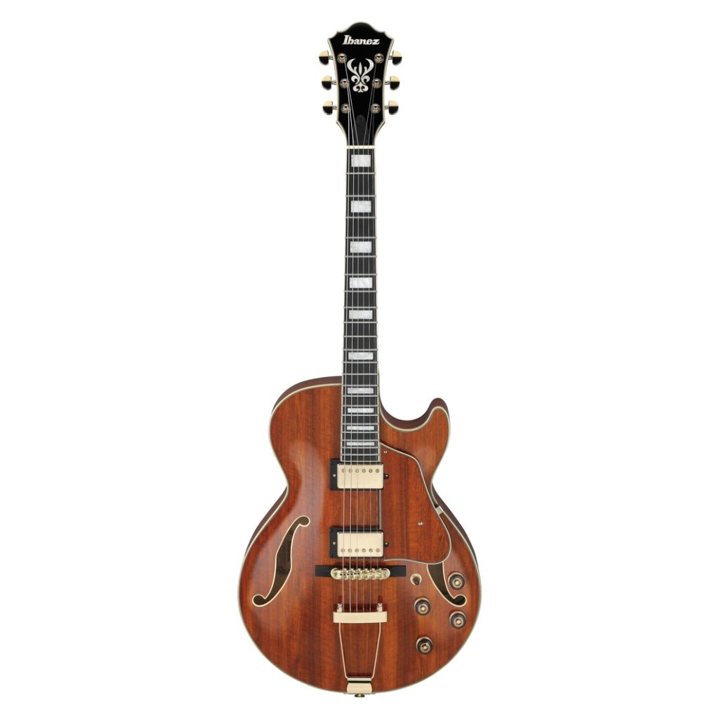 Ibanez AG95KNT Electro Acoustic Guitar Natural Electric Guitars Sky Music