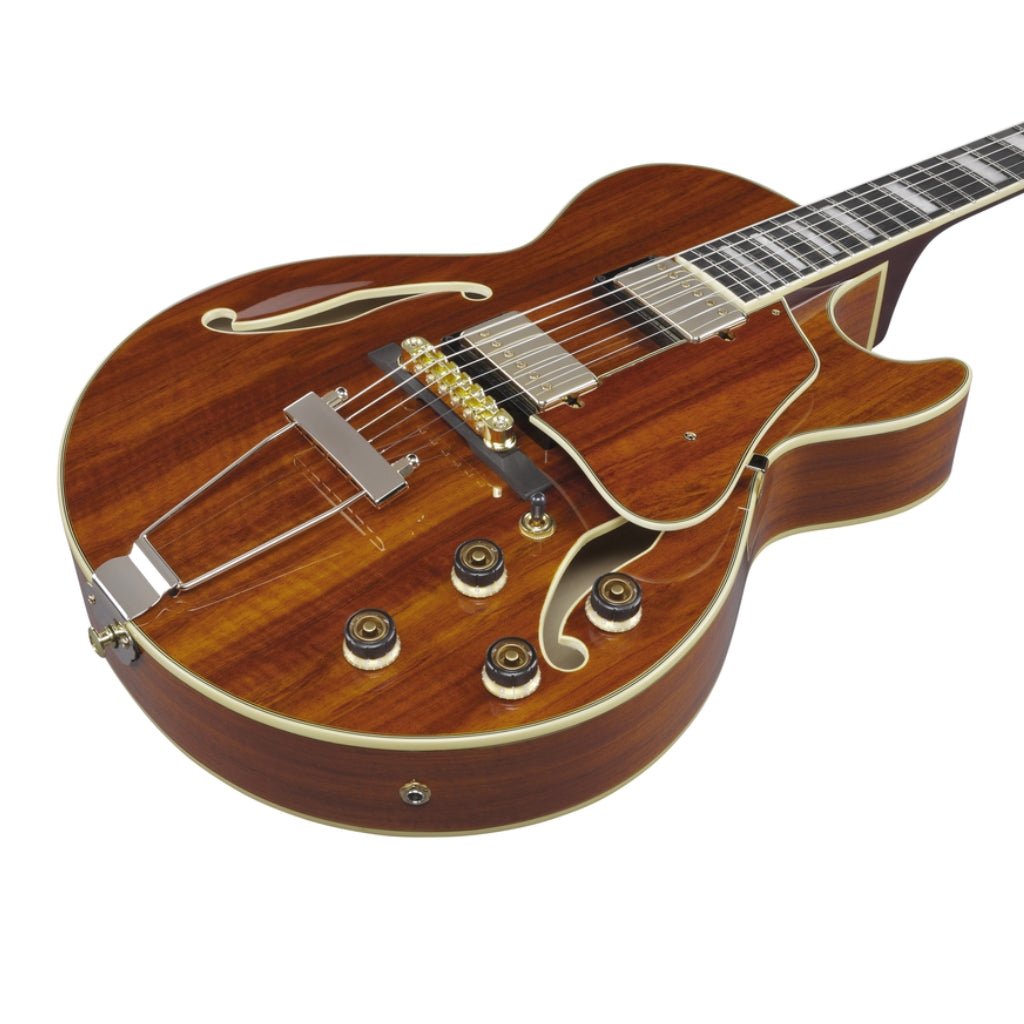 Ibanez AG95KNT Electro Acoustic Guitar Natural Electric Guitars Sky Music