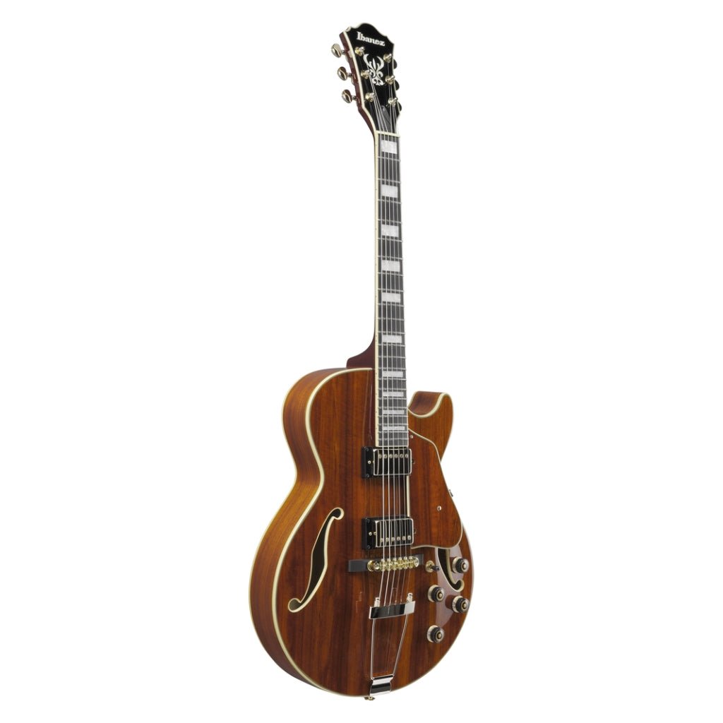 Ibanez AG95KNT Electro Acoustic Guitar Natural Electric Guitars Sky Music