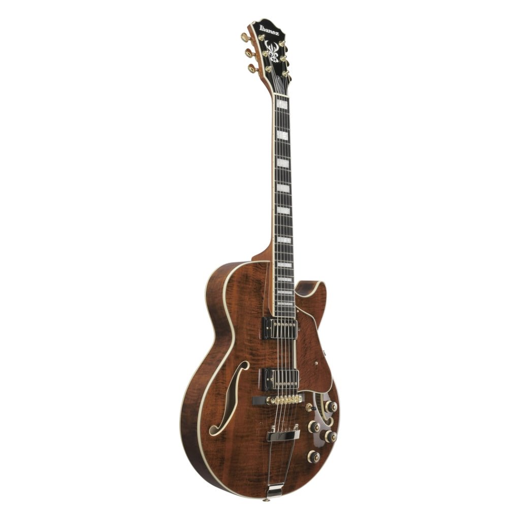 Ibanez AG95MG Electric Guitar - Dark Amber Electric Guitars Sky Music