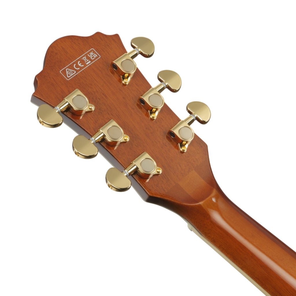 Ibanez AG95MG Electric Guitar - Dark Amber Electric Guitars Sky Music