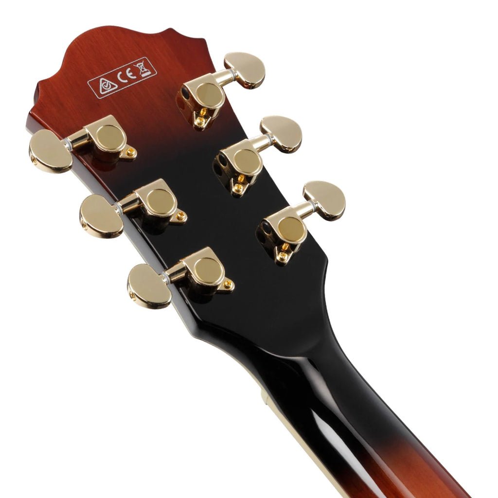 Ibanez AG95QA DBS Electric Guitar Electric Guitars Sky Music