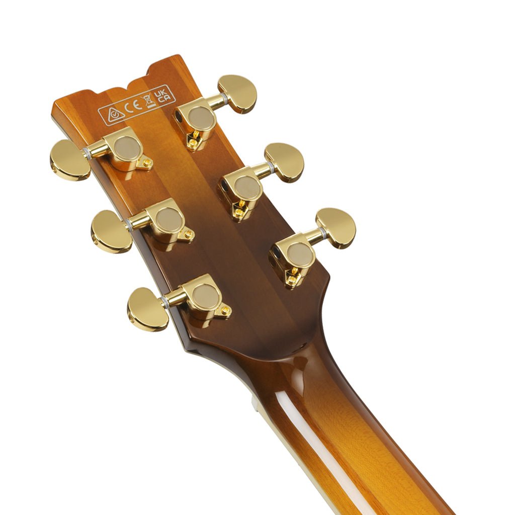 Ibanez AM153FM Artcore Semi-Hollow Electric Guitar - Antique Tobacco Burst Electric Guitars Sky Music