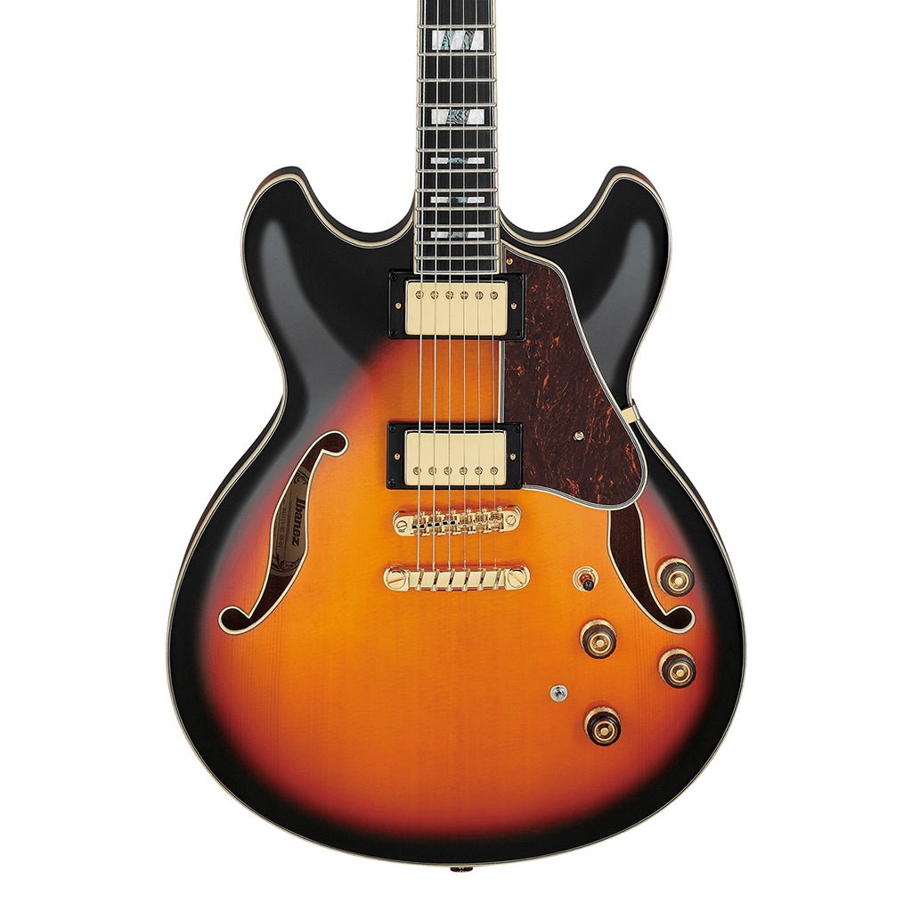 Ibanez AS113 BS Electric Guitar W/Case Electric Guitars Sky Music