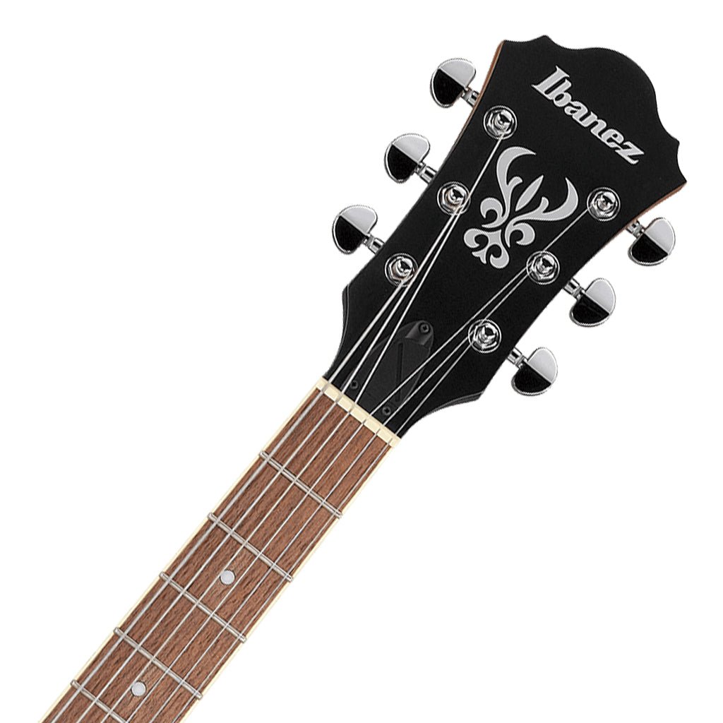 Ibanez AS53 TF Electric Guitar Electric Guitars Sky Music