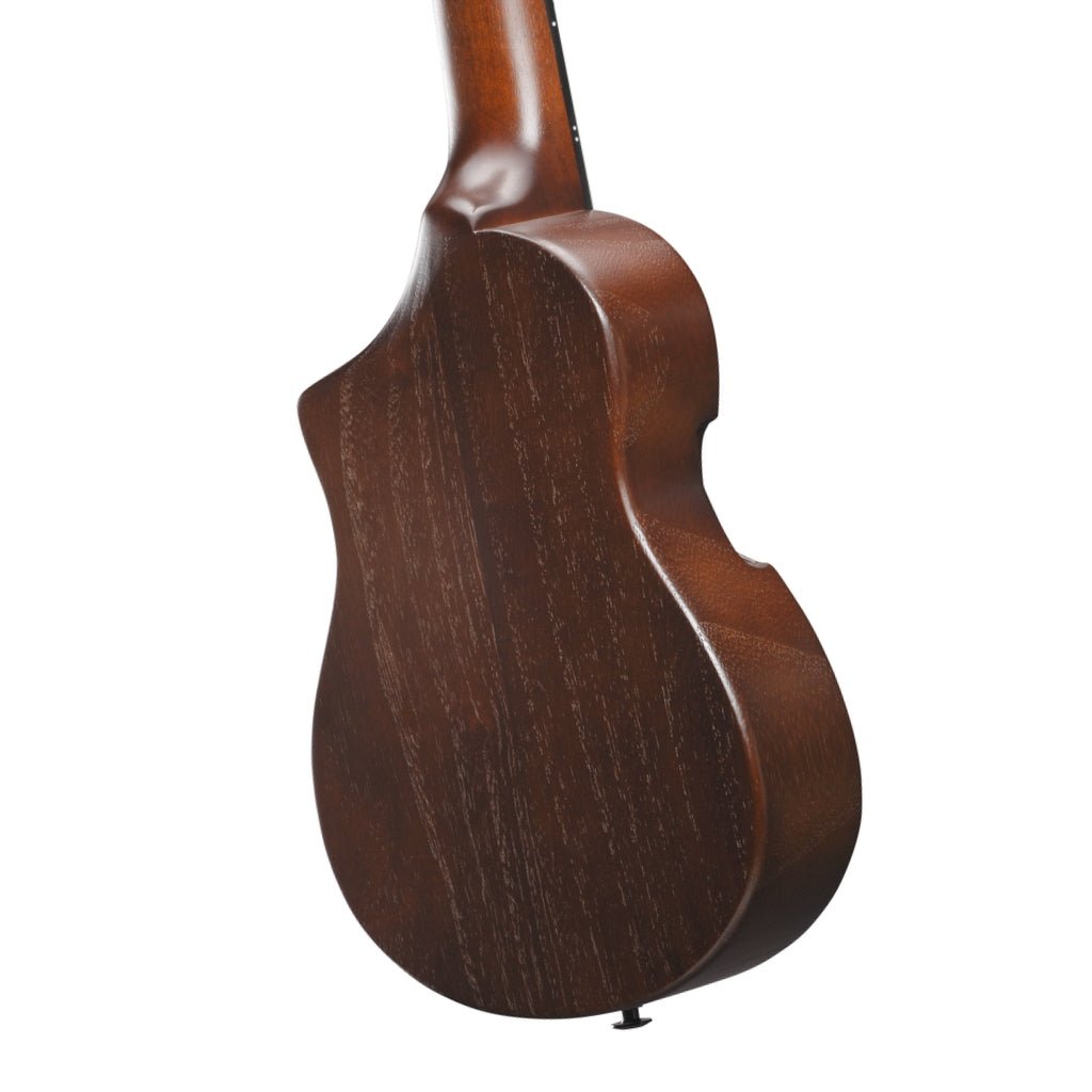 Ibanez AUP10N Ukulele with Bag - Open Pore Light Brown Sunburst Ukuleles Sky Music
