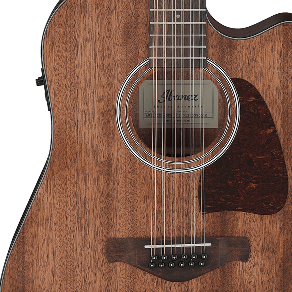 Ibanez AW5412CE OPN Acoustic Guitar Acoustic Guitars Sky Music
