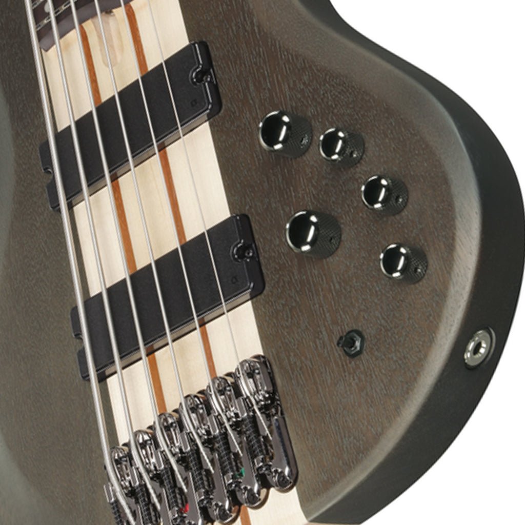 Ibanez BTB606 Transparent Gray Flat 6 String Electric Bass Bass Guitars Sky Music