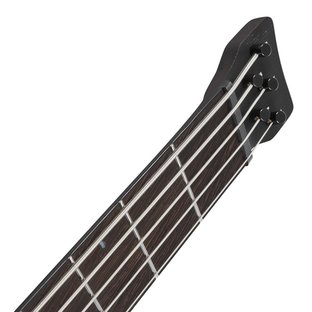 Ibanez EHB1675MS 5-String Bass with Fishman Fluence Pickups and Gig Bag - Natural Flat Bass Guitars Sky Music