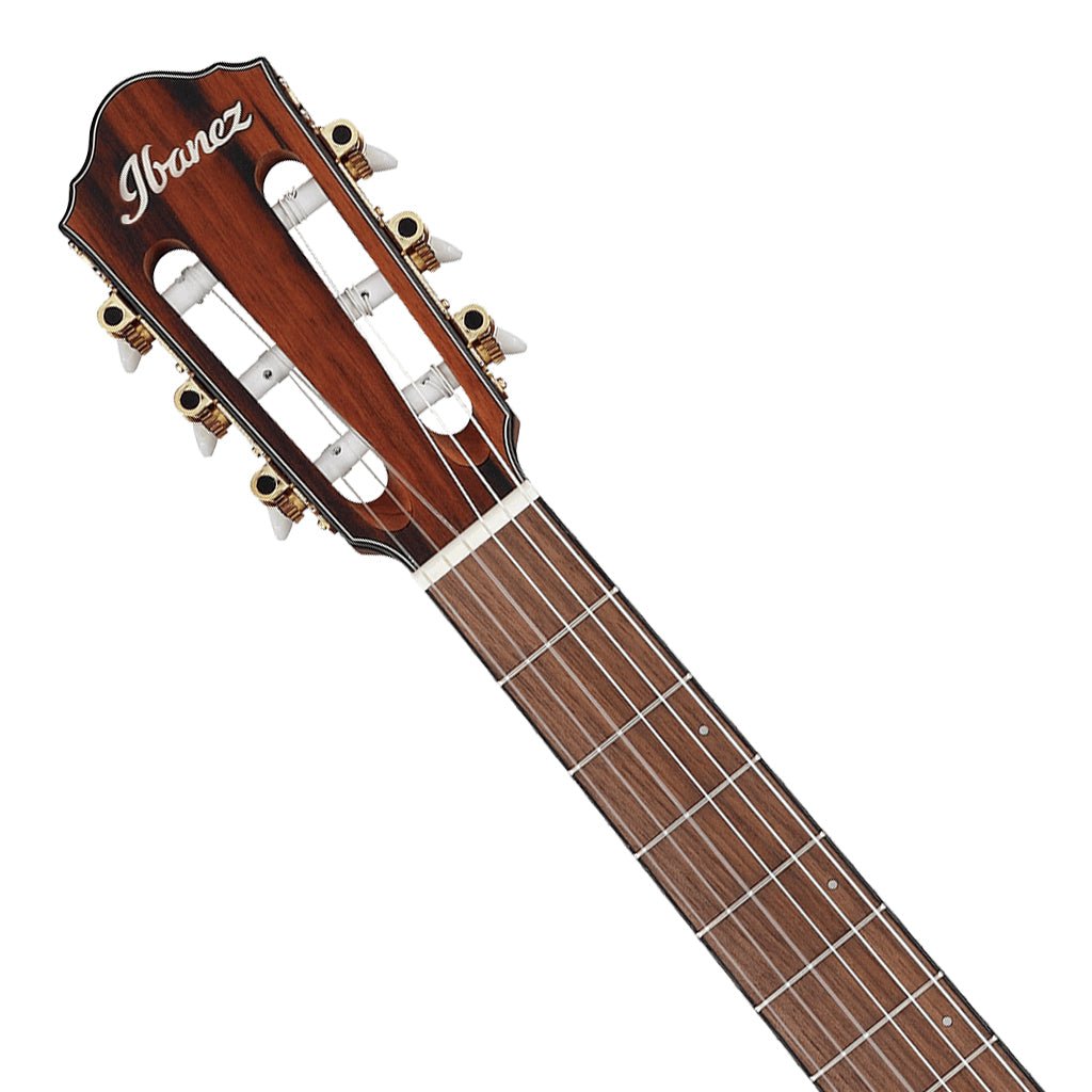 Ibanez FRH10N Brown Sunburst Flat Left Handed Nylon String Guitar Classical Guitars Sky Music