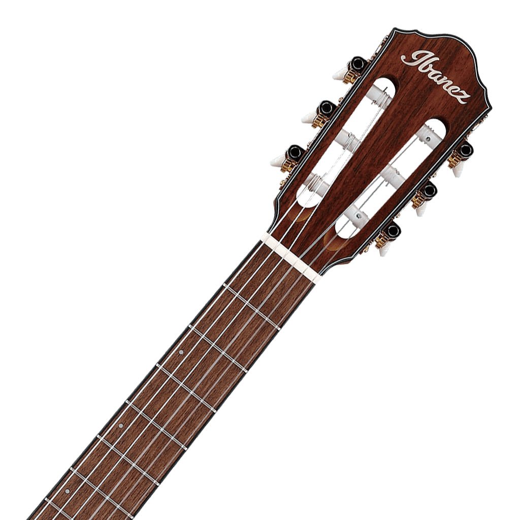 Ibanez FRH10N Indigo Metallic Flat Nylon String Guitar Classical Guitars Sky Music