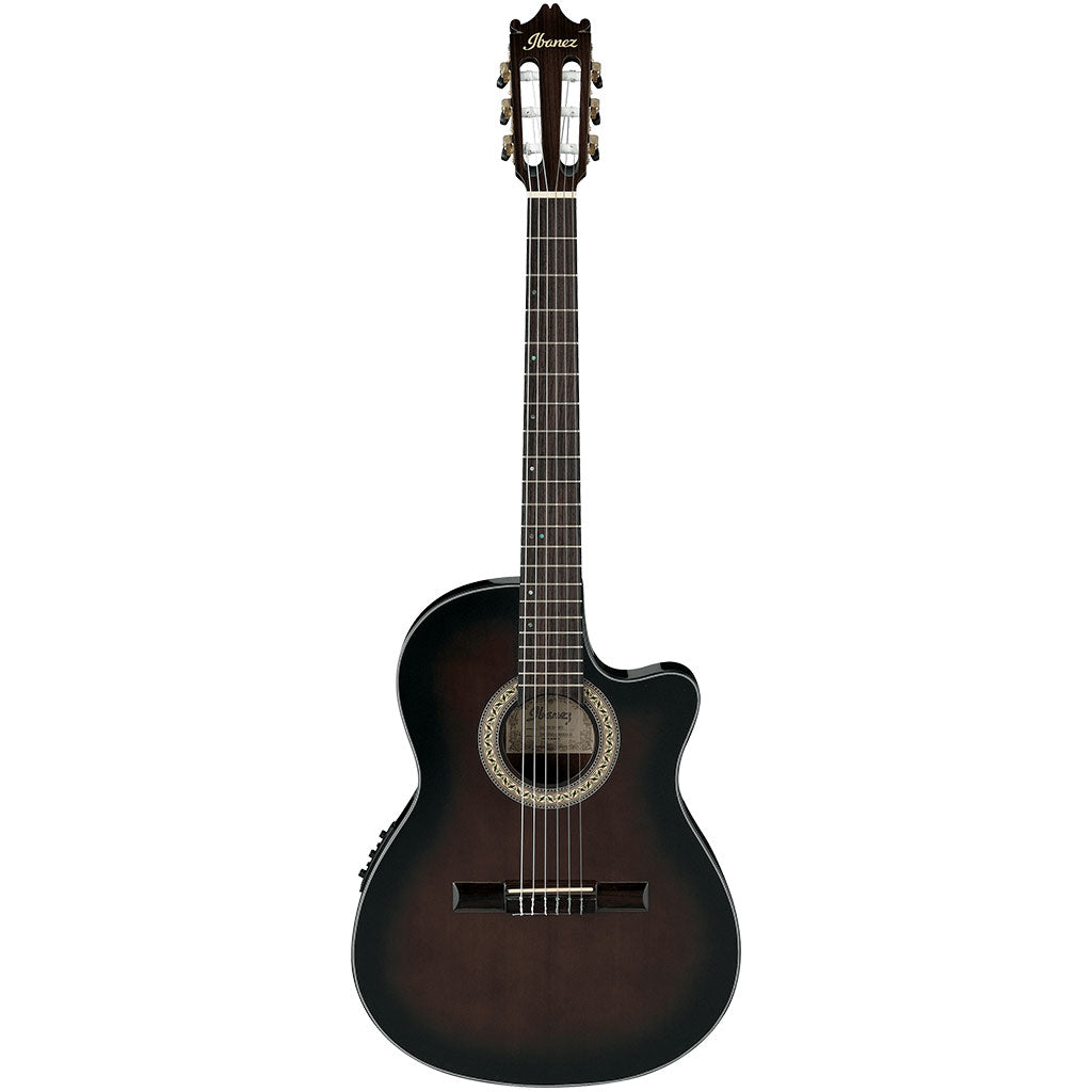 Ibanez GA35TCE DVS Classical Guitar