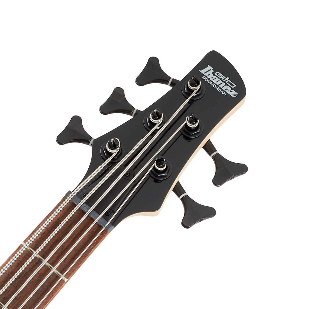 Ibanez GSR205B Gio Electric 5-String Bass, Walnut Flat Bass Guitars Sky Music