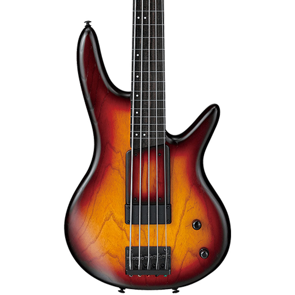 Ibanez GWB205 TQF Gary Willis Premium Electric 5-String Bass With Bag (Pgpbb)