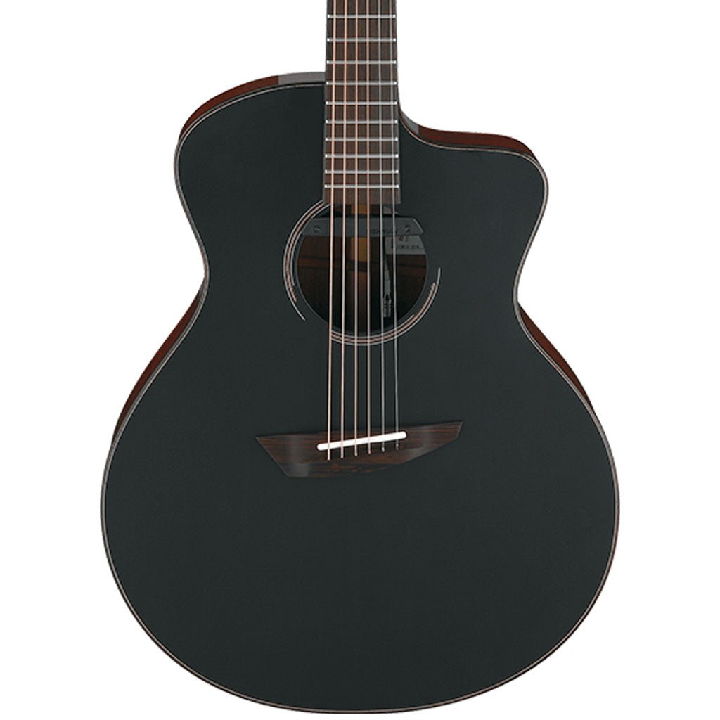 Ibanez JGM10 BSN Jon Gomm Acoustic Guitar W/Case Acoustic Guitars Sky Music