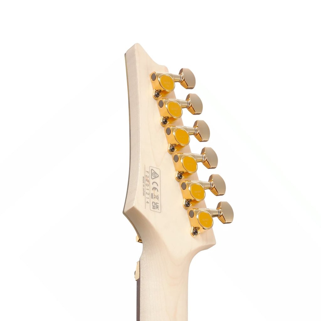 Ibanez JS2GD Joe Satriani Gold Boy Electric Guitars Sky Music