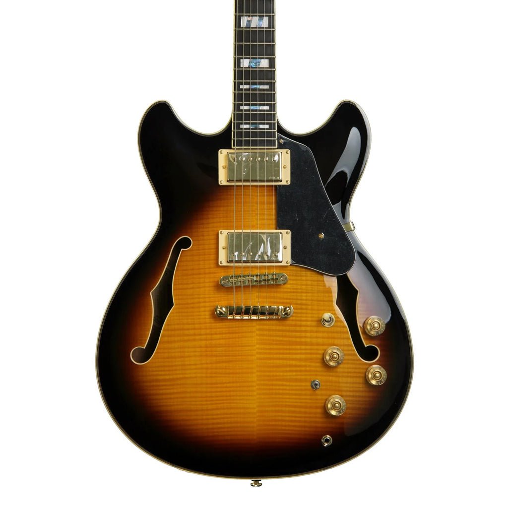 Ibanez JSM10 VYS John Scofield Electric Guitar W/Case Electric Guitars Sky Music