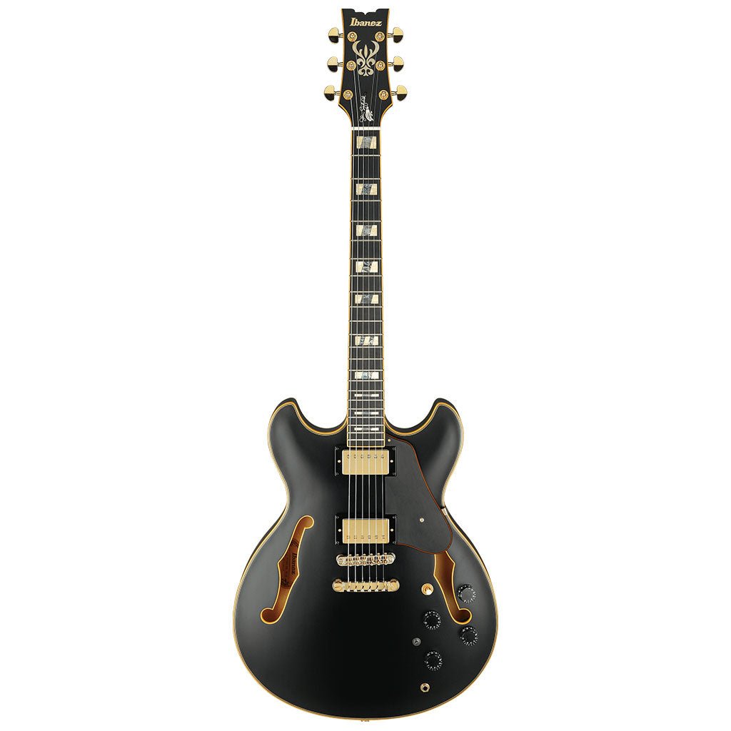 Ibanez JSM20 BKL John Scofield Electric Guitar w/ Case Electric Guitars Sky Music
