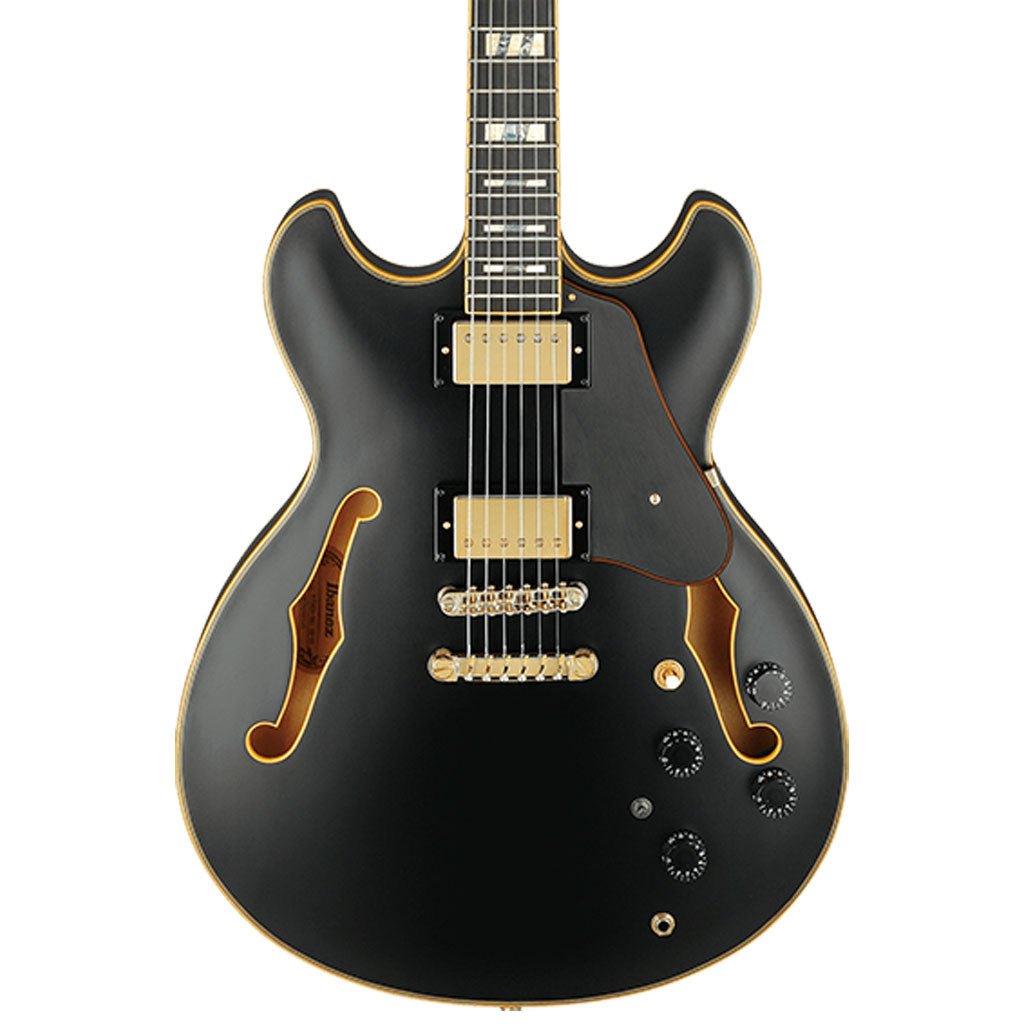 Ibanez JSM20 BKL John Scofield Electric Guitar w/ Case Electric Guitars Sky Music
