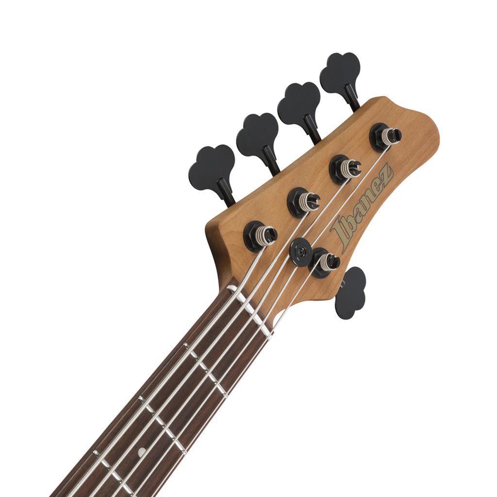 Ibanez MDM1605 5-String Electric Bass - Deep Twilight Bass Guitars Sky Music