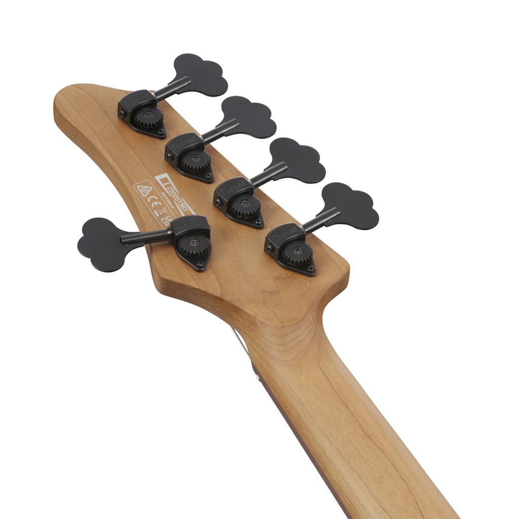 Ibanez MDM1605 5-String Electric Bass - Deep Twilight Bass Guitars Sky Music