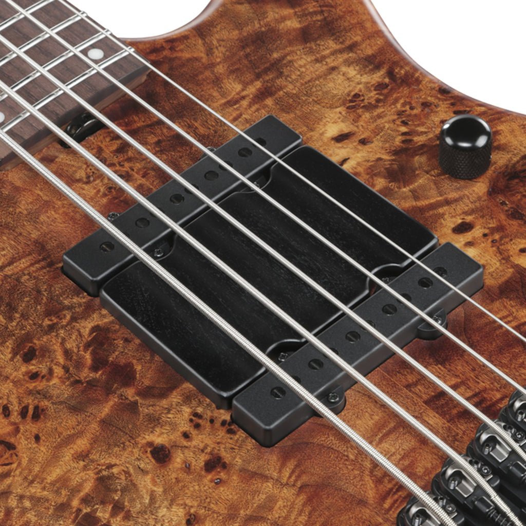Ibanez MDM1605 5-String Electric Bass - Natural Mocha Low Gloss Bass Guitars Sky Music
