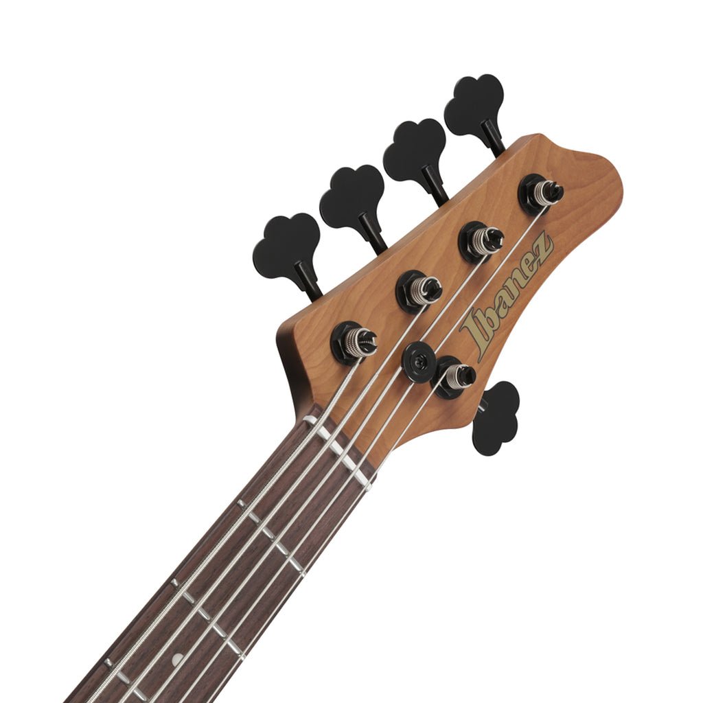 Ibanez MDM1605 5-String Electric Bass - Natural Mocha Low Gloss Bass Guitars Sky Music