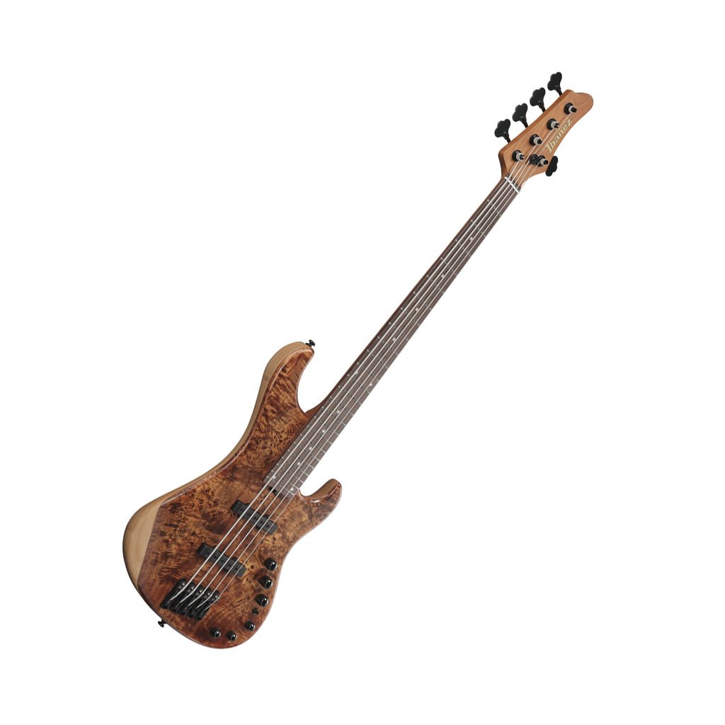 Ibanez MDM1605 5-String Electric Bass - Natural Mocha Low Gloss Bass Guitars Sky Music