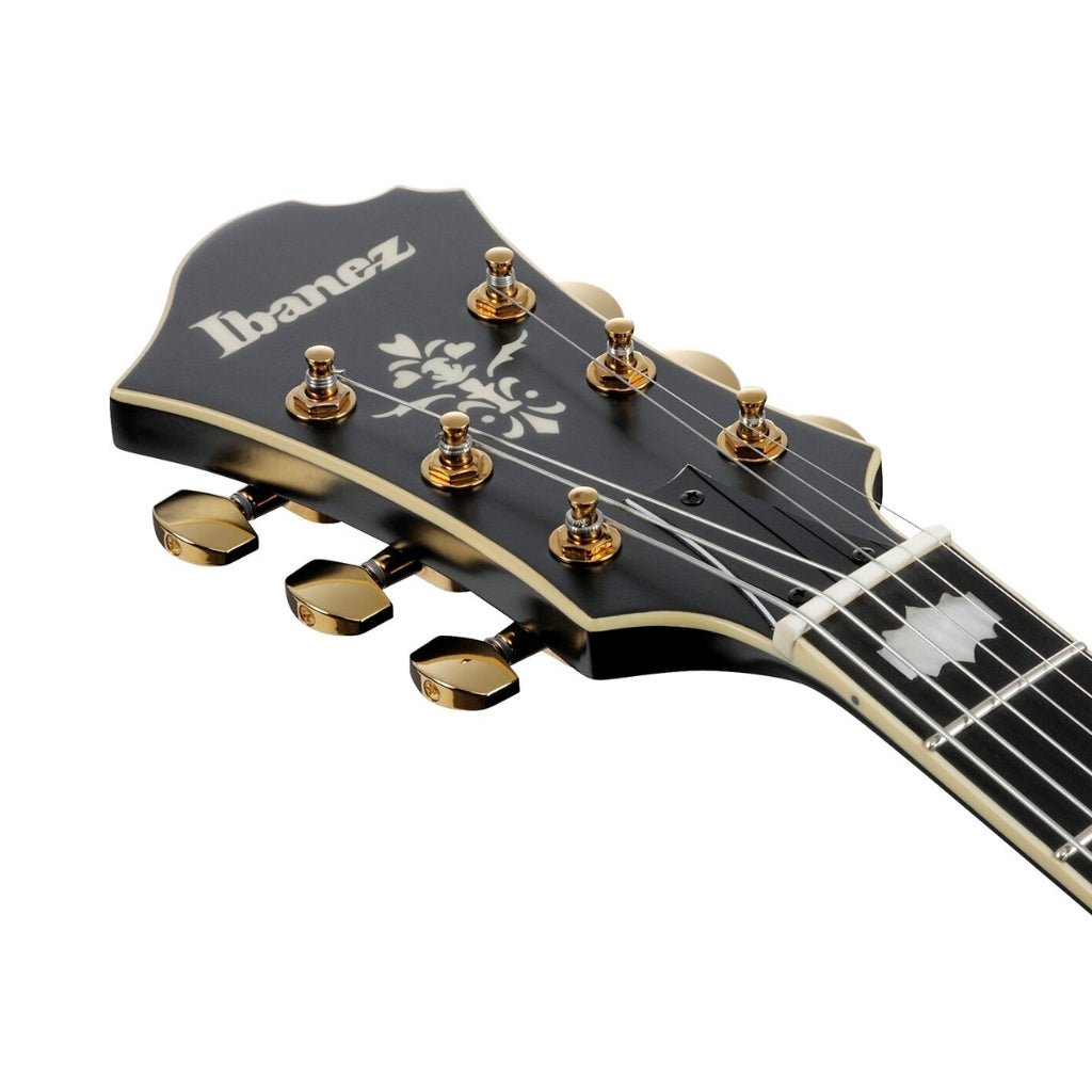 Ibanez PM3C Pat Metheny Signature Electric Guitar - Black Low Gloss Electric Guitars Sky Music