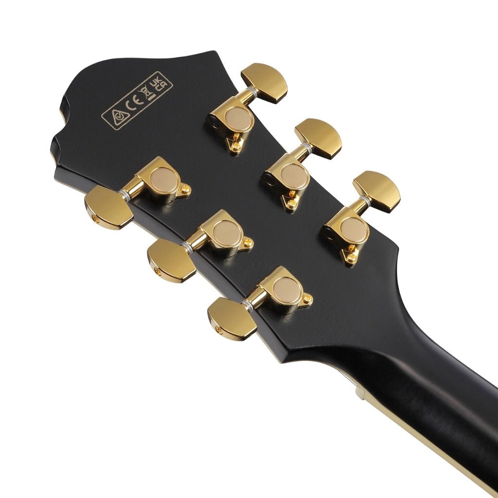 Ibanez PM3C Pat Metheny Signature Electric Guitar - Black Low Gloss Electric Guitars Sky Music