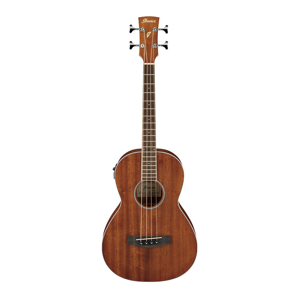 Ibanez PNB14E OPN Acoustic Bass Guitar Bass Guitars Sky Music
