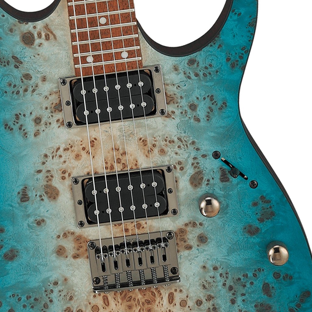 Ibanez RG421PB CHF Electric Guitar Electric Guitars Sky Music
