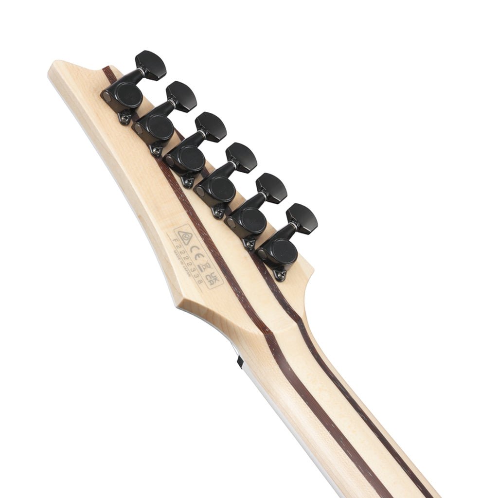 Ibanez RG5121RET Electric Guitar - Polar Lights Electric Guitars Sky Music