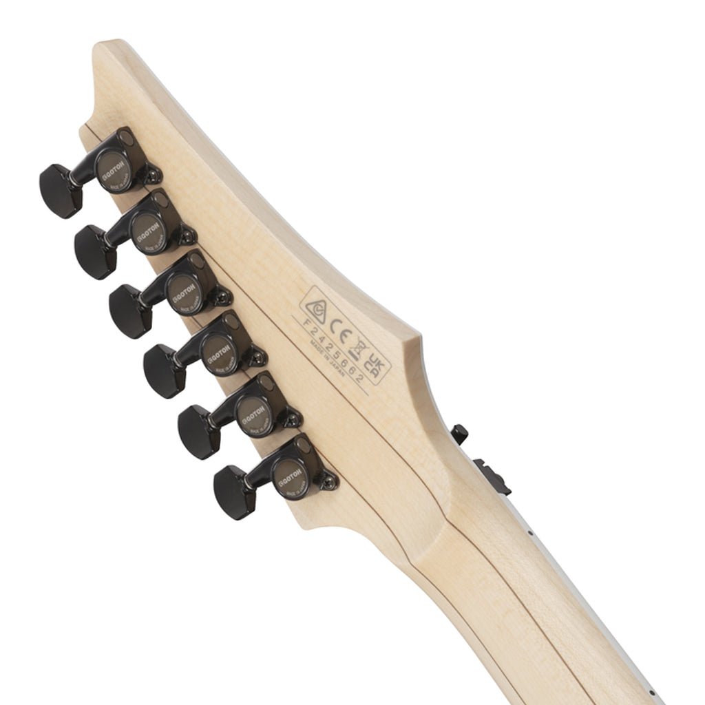 Ibanez RG565R Basswood Body with Rosewood Fretboard - Electric Blue Electric Guitars Sky Music
