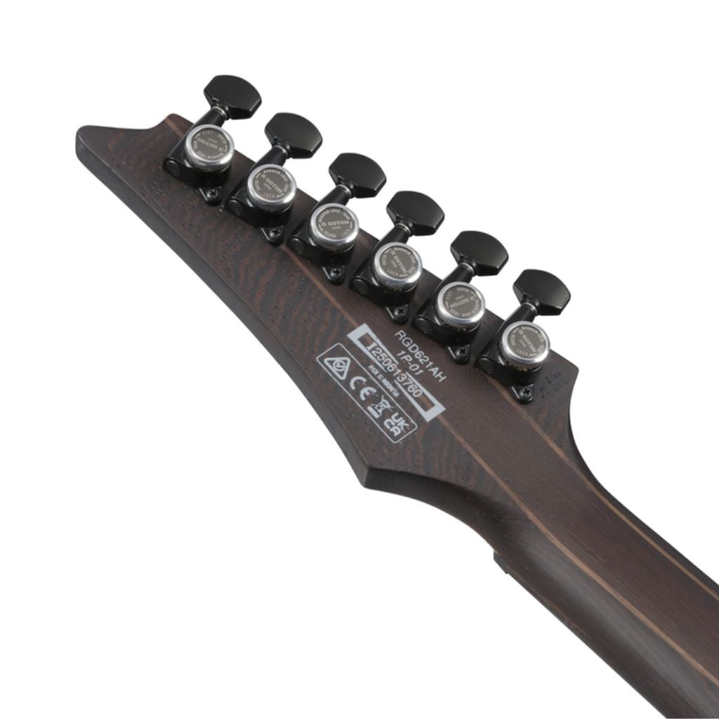 Ibanez RGD621AH Electric Guitar - Midnight Shade Flat Electric Guitars Sky Music