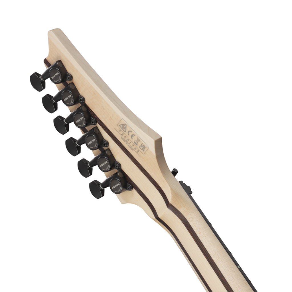 Ibanez RGR5130R Electric Guitar - Gray Metallic Electric Guitars Sky Music