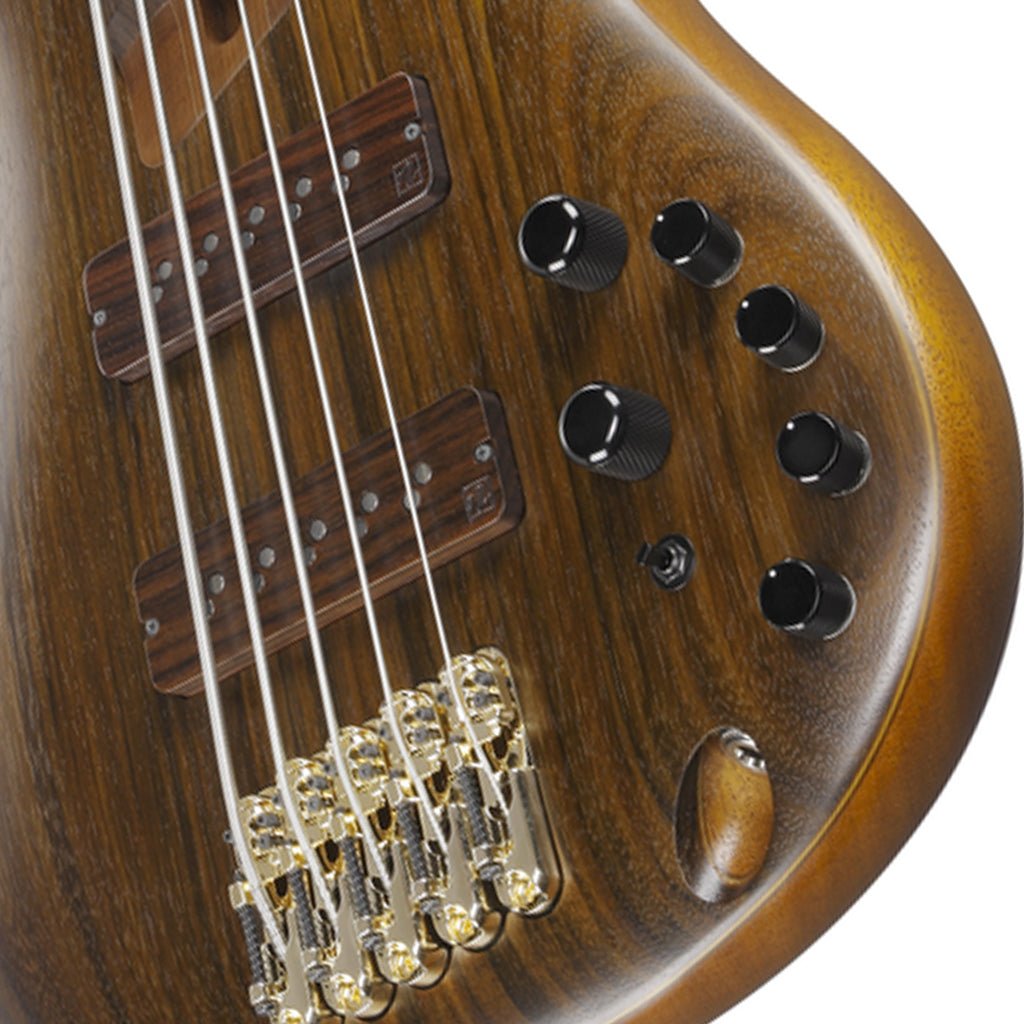 Ibanez SR5505 5-String Bass Ovangkol Top with Rosewood Fretboard and Case - Mocha Flat Bass Guitars Sky Music
