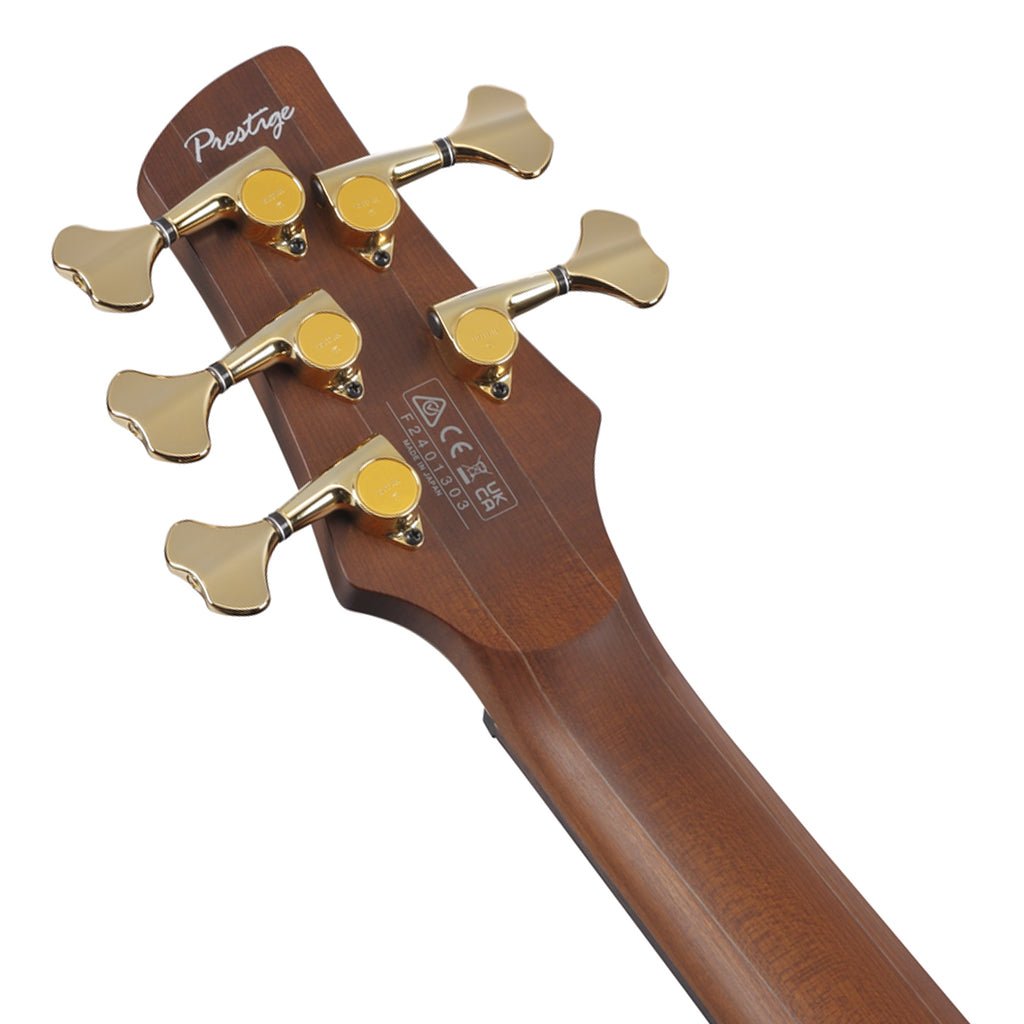 Ibanez SR6605 5-String Bass Mappa Burl Top with Rosewood Fretboard and Case - Ghost Fleet Blue Burst Bass Guitars Sky Music