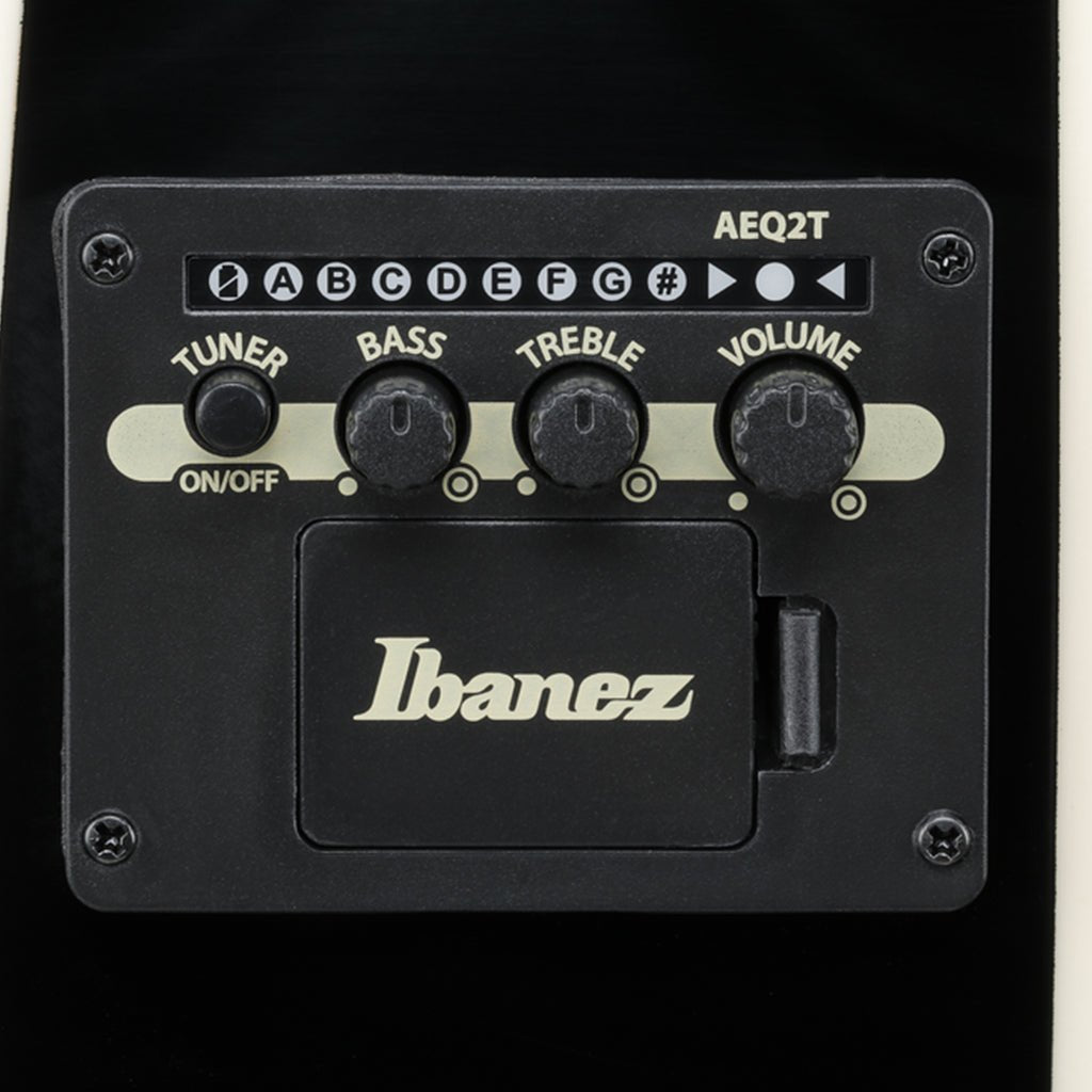 Ibanez TCY10PA Acoustic Guitar w/Pickup - Transparent Brown Black Burst High Gloss Acoustic Guitars Sky Music