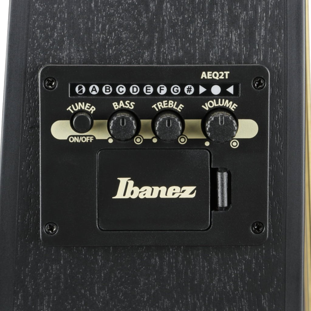 Ibanez TCY621 Acoustic Guitar - Black Out Acoustic Guitars Sky Music
