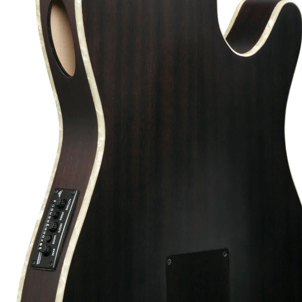 Ibanez Tim Henson TOD10NL Signature Left Handed Nylon Guitar Classical Guitars Sky Music
