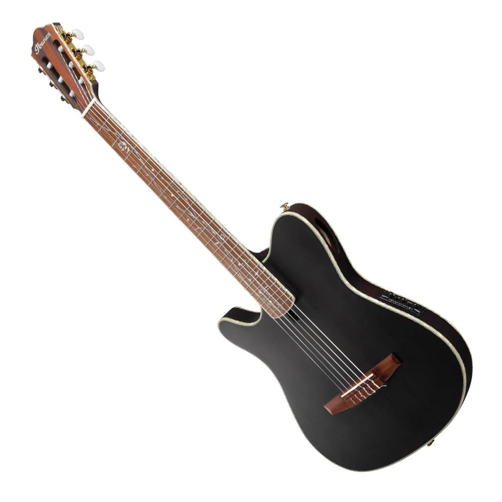 Ibanez Tim Henson TOD10NL Signature Left Handed Nylon Guitar Classical Guitars Sky Music