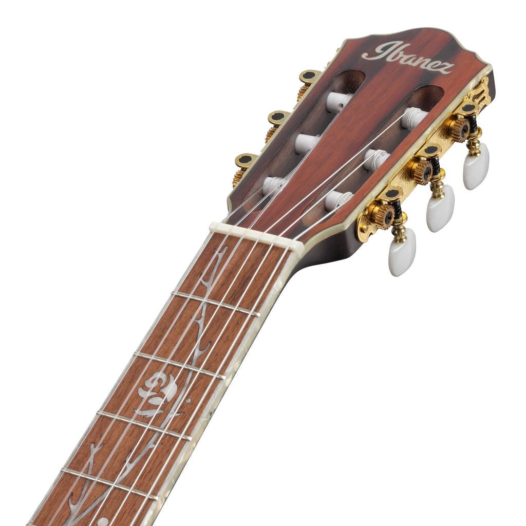 Ibanez Tim Henson TOD10NL Signature Left Handed Nylon Guitar Classical Guitars Sky Music